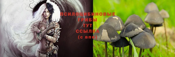 спайс Каменск-Шахтинский