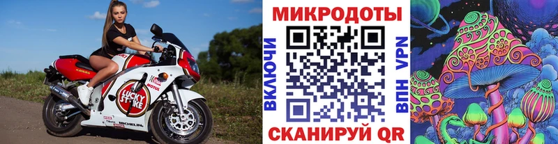 Купить  Кашин  Псилоцибиновые грибы прущие грибы 